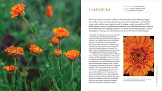 The Healing Garden: Juliet Blankespoor
