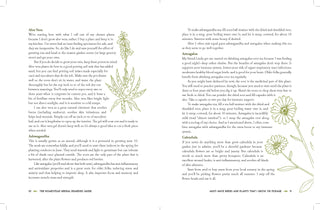 The Homestead Herbal Remedies Guide