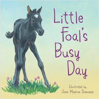 Little Foal's Busy Day (Board Book)